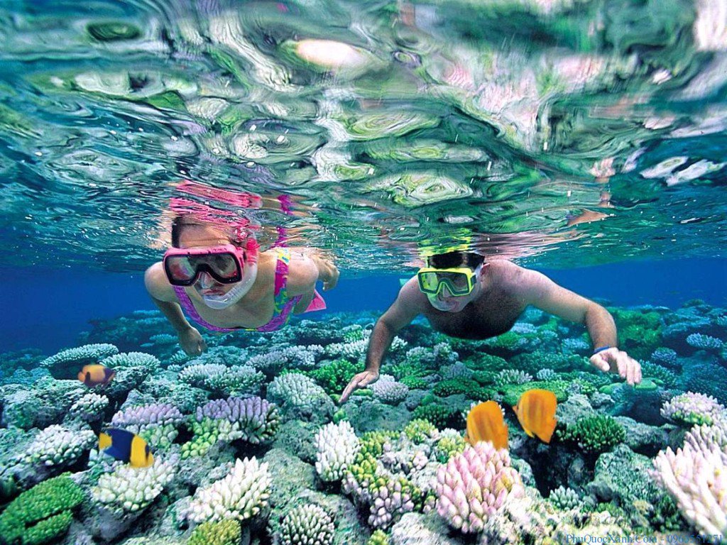 5 strange sports break the boredom - snorkeling-guadeloupe.com