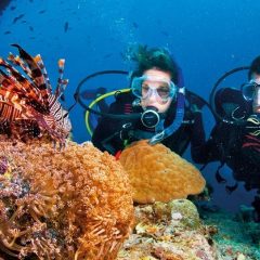 The necessary experience when snorkelling (Part 1)